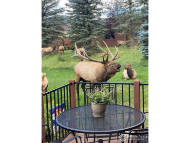 Welcome to this super cute ranch-style condo with 3 bedrooms and on Estes Park Golf Course in Colorado - for sale on GolfHomes.com, golf home, golf lot