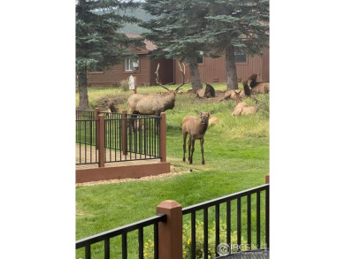 Welcome to this super cute ranch-style condo with 3 bedrooms and on Estes Park Golf Course in Colorado - for sale on GolfHomes.com, golf home, golf lot