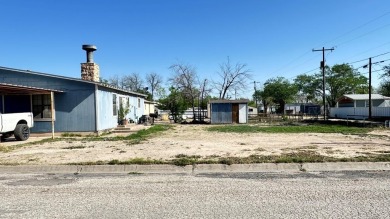 Discover your dream home in Big Lake, where comfort meets on Big Lake Golf Course in Texas - for sale on GolfHomes.com, golf home, golf lot