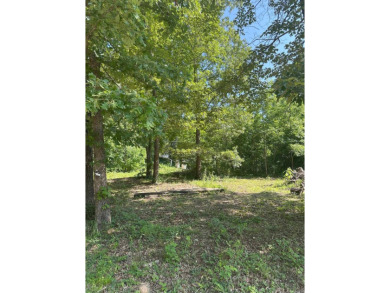 If you are looking for a smaller house with a big big yard on a on Cherokee Village North Course in Arkansas - for sale on GolfHomes.com, golf home, golf lot