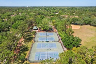 EXQUISITELY RENOVATED 6-BEDROOM POOL HOME IN HUNTER'S GREEN!

 on Hunters Green Country Club in Florida - for sale on GolfHomes.com, golf home, golf lot