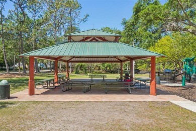 EXQUISITELY RENOVATED 6-BEDROOM POOL HOME IN HUNTER'S GREEN!

 on Hunters Green Country Club in Florida - for sale on GolfHomes.com, golf home, golf lot