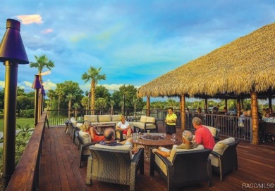FULLY DETACHED *Carefree* HOME in INCREDIBLE TERRA VISTA with on Skyview At Terra Vista Golf and Country Club in Florida - for sale on GolfHomes.com, golf home, golf lot