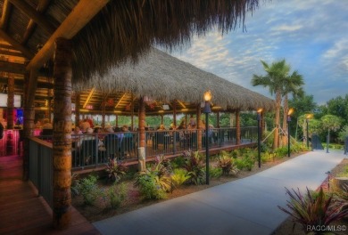 FULLY DETACHED *Carefree* HOME in INCREDIBLE TERRA VISTA with on Skyview At Terra Vista Golf and Country Club in Florida - for sale on GolfHomes.com, golf home, golf lot