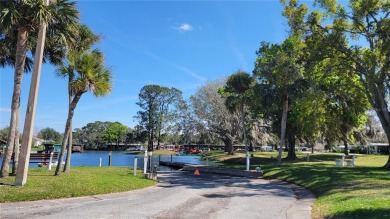 If you're looking for a great and affordable option for 55+ on Bay Tree Golf Course in Florida - for sale on GolfHomes.com, golf home, golf lot