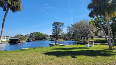 If you're looking for a great and affordable option for 55+ on Bay Tree Golf Course in Florida - for sale on GolfHomes.com, golf home, golf lot