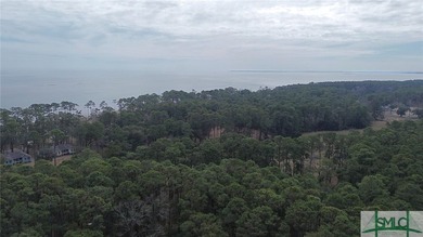 Enjoy the rich culture, history, and natural beauty of Daufuskie on Melrose Golf Course in South Carolina - for sale on GolfHomes.com, golf home, golf lot