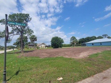 ALL IMPACT FEES HAVE BEEN PAID ON THIS LOT!!! TAKE ADVANTAGE OF on Gator Trace Golf and Country Club in Florida - for sale on GolfHomes.com, golf home, golf lot