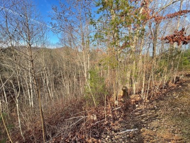 GENTLE LOT IN GATED GOLF COURSE COMMUNITY IN THE MOUNTAINS OF on Chatuge Shores Golf Course in North Carolina - for sale on GolfHomes.com, golf home, golf lot