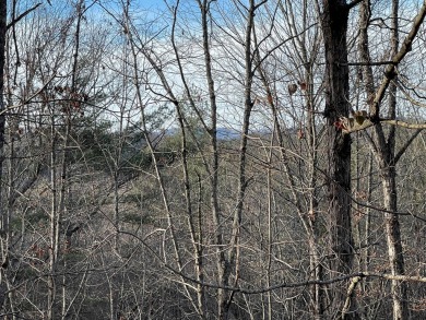 GENTLE LOT IN GATED GOLF COURSE COMMUNITY IN THE MOUNTAINS OF on Chatuge Shores Golf Course in North Carolina - for sale on GolfHomes.com, golf home, golf lot