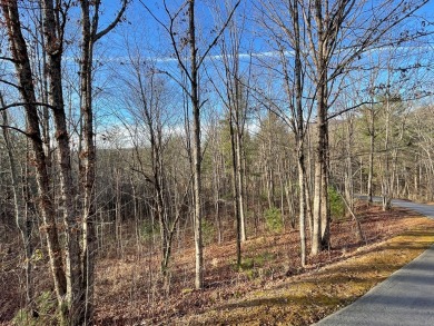 GENTLE LOT IN GATED GOLF COURSE COMMUNITY IN THE MOUNTAINS OF on Chatuge Shores Golf Course in North Carolina - for sale on GolfHomes.com, golf home, golf lot