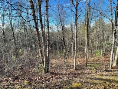 GENTLE LOT IN GATED GOLF COURSE COMMUNITY IN THE MOUNTAINS OF on Chatuge Shores Golf Course in North Carolina - for sale on GolfHomes.com, golf home, golf lot