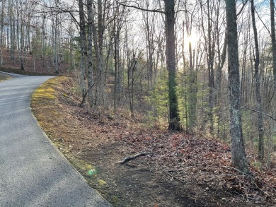 GENTLE LOT IN GATED GOLF COURSE COMMUNITY IN THE MOUNTAINS OF on Chatuge Shores Golf Course in North Carolina - for sale on GolfHomes.com, golf home, golf lot