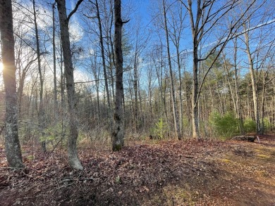 GENTLE LOT IN GATED GOLF COURSE COMMUNITY IN THE MOUNTAINS OF on Chatuge Shores Golf Course in North Carolina - for sale on GolfHomes.com, golf home, golf lot