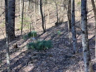 GENTLE LOT IN GATED GOLF COURSE COMMUNITY IN THE MOUNTAINS OF on Chatuge Shores Golf Course in North Carolina - for sale on GolfHomes.com, golf home, golf lot