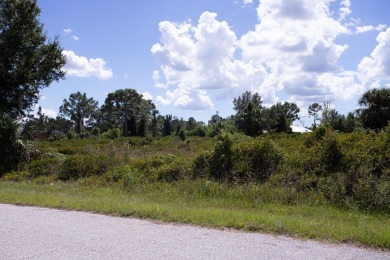 Excellent opportunity for investors or future homeowners. This 0 on Duffys Golf Center in Florida - for sale on GolfHomes.com, golf home, golf lot