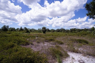 Excellent opportunity for investors or future homeowners. This 0 on Duffys Golf Center in Florida - for sale on GolfHomes.com, golf home, golf lot