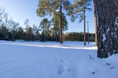 Stunningly remodeled and decorated historic home sitting on on Meadow Links At George T. Bagby in Georgia - for sale on GolfHomes.com, golf home, golf lot