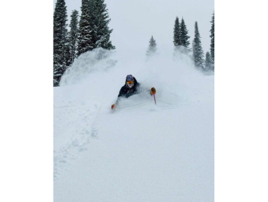 GREAT PRICE- SKI IN/SKI OUT OPPORTUNITY! Discover the perfect on Osprey Meadows at Tamarack Resort in Idaho - for sale on GolfHomes.com, golf home, golf lot