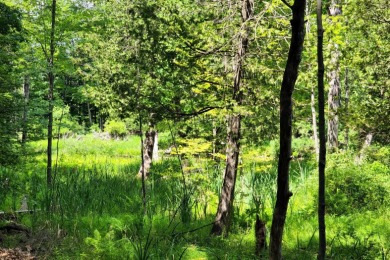 Excellent opportunity to build your next home on the Little on Canadian Lakes Country Club-The Royal Course in Michigan - for sale on GolfHomes.com, golf home, golf lot
