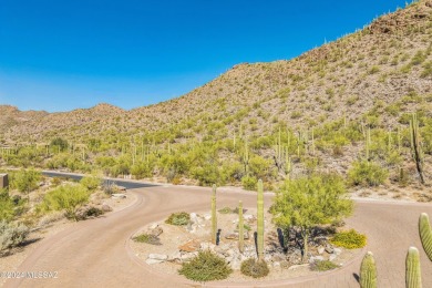 Build Your Dream Home in the Tortolita Mountains. Discover a on The Gallery Golf Club in Arizona - for sale on GolfHomes.com, golf home, golf lot