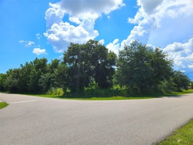 HUGE Deep Creek multi-family zoned lot!!! Located next to the on Deep Creek Golf Club in Florida - for sale on GolfHomes.com, golf home, golf lot
