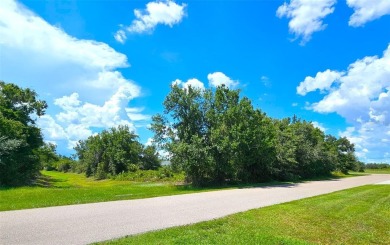 HUGE Deep Creek multi-family zoned lot!!! Located next to the on Deep Creek Golf Club in Florida - for sale on GolfHomes.com, golf home, golf lot