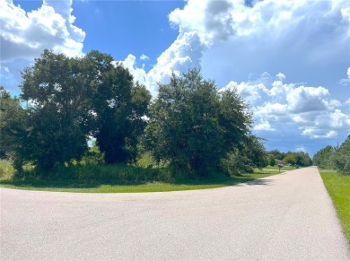 HUGE Deep Creek multi-family zoned lot!!! Located next to the on Deep Creek Golf Club in Florida - for sale on GolfHomes.com, golf home, golf lot