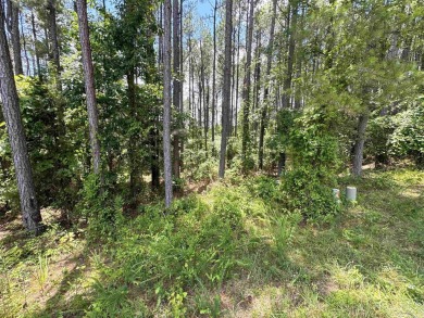 Prime, build-ready lot near Hot Springs Village's East Gate and on Isabella Golf Course  in Arkansas - for sale on GolfHomes.com, golf home, golf lot