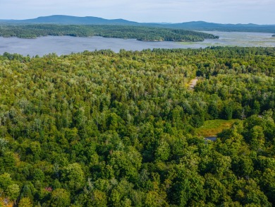 Looking for a classic Adirondack setting? Look no further than on Tupper Lake Country Club in New York - for sale on GolfHomes.com, golf home, golf lot