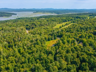 Looking for a classic Adirondack setting? Look no further than on Tupper Lake Country Club in New York - for sale on GolfHomes.com, golf home, golf lot