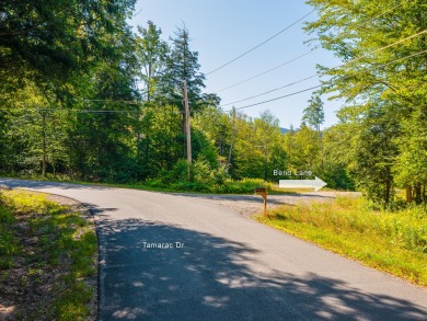 Looking for a classic Adirondack setting? Look no further than on Tupper Lake Country Club in New York - for sale on GolfHomes.com, golf home, golf lot