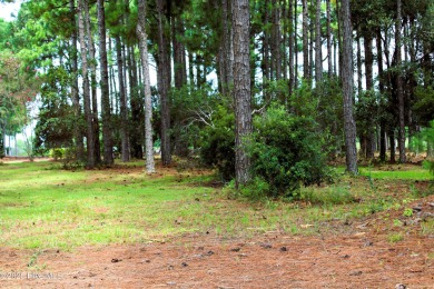 Beautiful wooded golf course lot on the Players Course with on Members Club At St. James Plantation in North Carolina - for sale on GolfHomes.com, golf home, golf lot