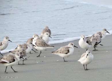 Exceptional Sandpiper Bay Golf Course living and the beauty of on Sandpiper Bay Golf and Country Club in North Carolina - for sale on GolfHomes.com, golf home, golf lot