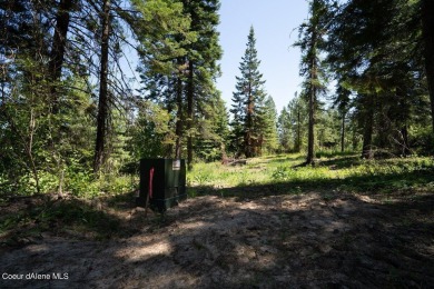 Beautiful 20 acre treed parcel four miles from Circling Raven on Circling Raven Golf Club in Idaho - for sale on GolfHomes.com, golf home, golf lot