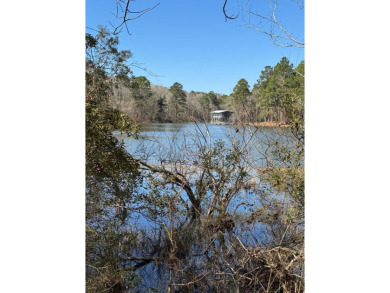 Nestled in a serene and peaceful lagoon just off the shores of on Meadow Links At George T. Bagby in Georgia - for sale on GolfHomes.com, golf home, golf lot