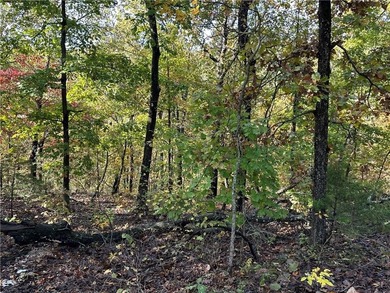 A rare opportunity awaits with three adjacent cul-de-sac lots on Bella Vista - Metfield Golf Complex and Country Club in Arkansas - for sale on GolfHomes.com, golf home, golf lot