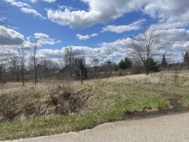 Five Vacant Lots - 1.72 Acres - Ready for Your Home with a Pole on Lakeside Golf Course in Michigan - for sale on GolfHomes.com, golf home, golf lot