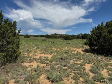 Ready to build, this parcel is ready for you! Black Diamond Park on Walsenburg Golf Club in Colorado - for sale on GolfHomes.com, golf home, golf lot