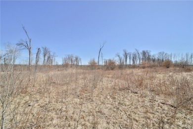 Stunning views could be yours overlooking the Lehman 18 legacy on Legacy Courses At Craguns in Minnesota - for sale on GolfHomes.com, golf home, golf lot