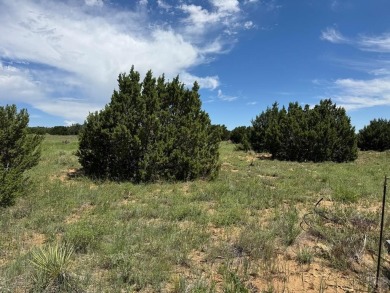 Ready to build, this parcel is ready for you! Black Diamond Park on Walsenburg Golf Club in Colorado - for sale on GolfHomes.com, golf home, golf lot