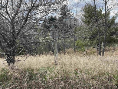 Five Vacant Lots - 1.72 Acres - Ready for Your Home with a Pole on Lakeside Golf Course in Michigan - for sale on GolfHomes.com, golf home, golf lot