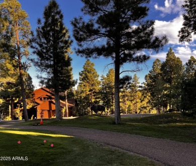 Looking for a Property in Show Low, Az? Come Visit this on Bison Golf and Country Club in Arizona - for sale on GolfHomes.com, golf home, golf lot