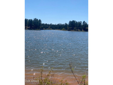 Looking for a Property in Show Low, Az? Come Visit this on Bison Golf and Country Club in Arizona - for sale on GolfHomes.com, golf home, golf lot