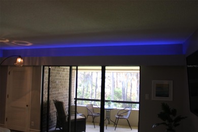 Mint Condition One Bedroom *B* Unit - Bring your Toothbrush on Innisbrook Resort and Golf Club in Florida - for sale on GolfHomes.com, golf home, golf lot