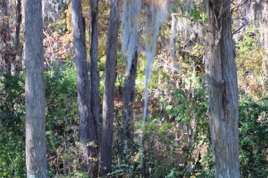 Mint Condition One Bedroom *B* Unit - Bring your Toothbrush on Innisbrook Resort and Golf Club in Florida - for sale on GolfHomes.com, golf home, golf lot