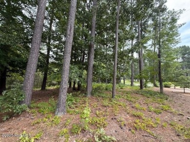 Discover the perfect setting for your dream home on this on Sound Golf Links at Albemarle Plantation in North Carolina - for sale on GolfHomes.com, golf home, golf lot