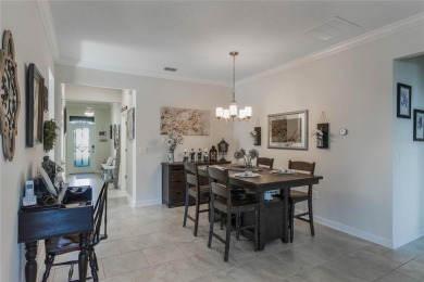 Welcome to the premier 55+ maintenance-free gated community of on Lake Ashton Golf Club in Florida - for sale on GolfHomes.com, golf home, golf lot