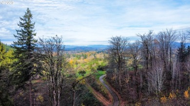 Come build your dream home on this unique, quiet lot with the on Persimmon Country Club in Oregon - for sale on GolfHomes.com, golf home, golf lot