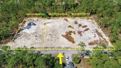 Welcome to your blank canvas in the heart of Lehigh Acres! This on Lehigh Resort Club in Florida - for sale on GolfHomes.com, golf home, golf lot